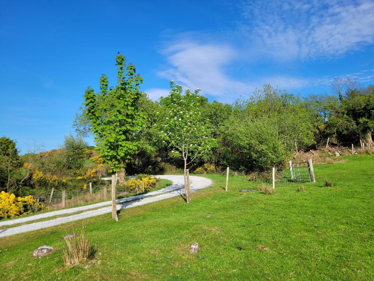 Oaklane Glamping Cabins Kenmare Εξωτερικό φωτογραφία
