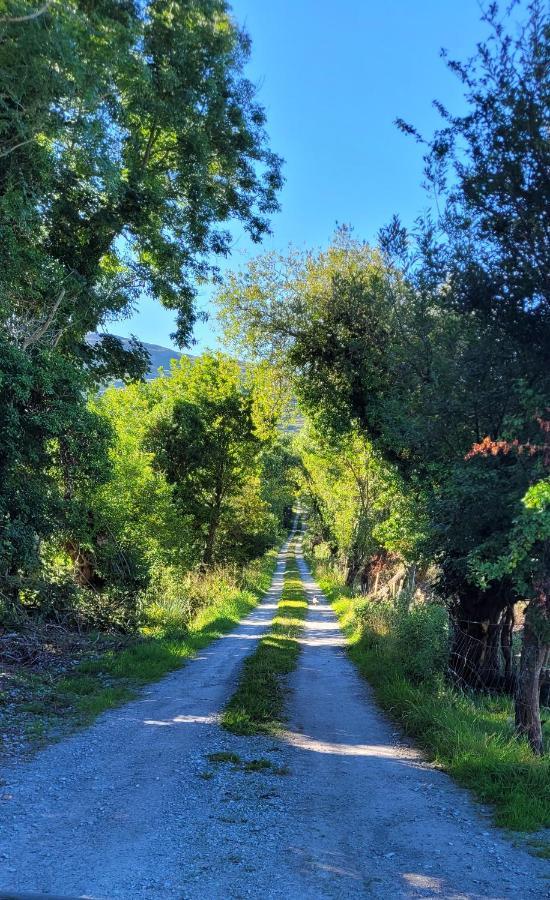 Oaklane Glamping Cabins Kenmare Εξωτερικό φωτογραφία