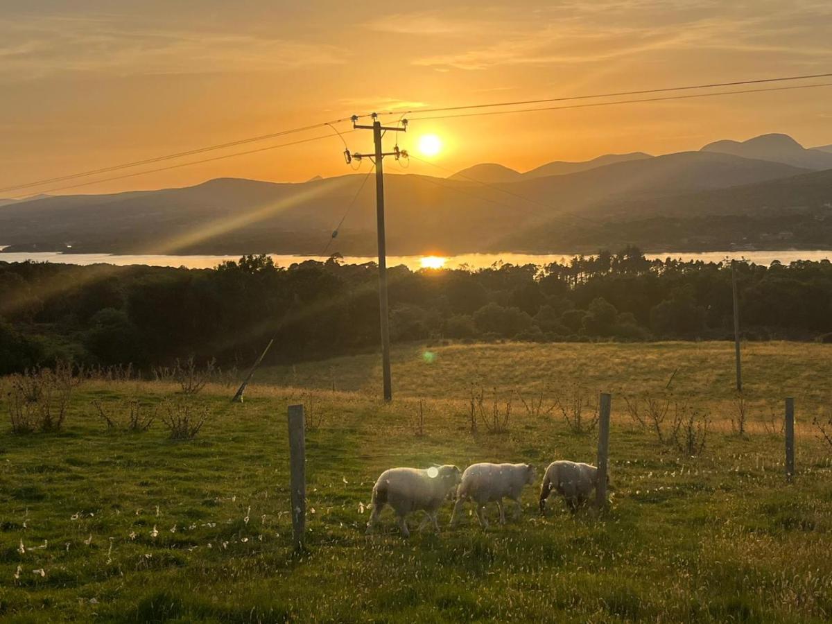 Oaklane Glamping Cabins Kenmare Εξωτερικό φωτογραφία